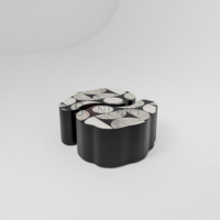 Luna Trio Bone Inlay Coffee Table Set – Black Sculptural Nested Designer Tables - Image 2