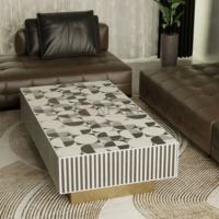 Orbis Mosaic Bone Inlay Coffee Table - Image 3